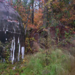 exterior of Shivar Spring Company buildings